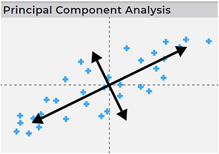 pincipal component analysis